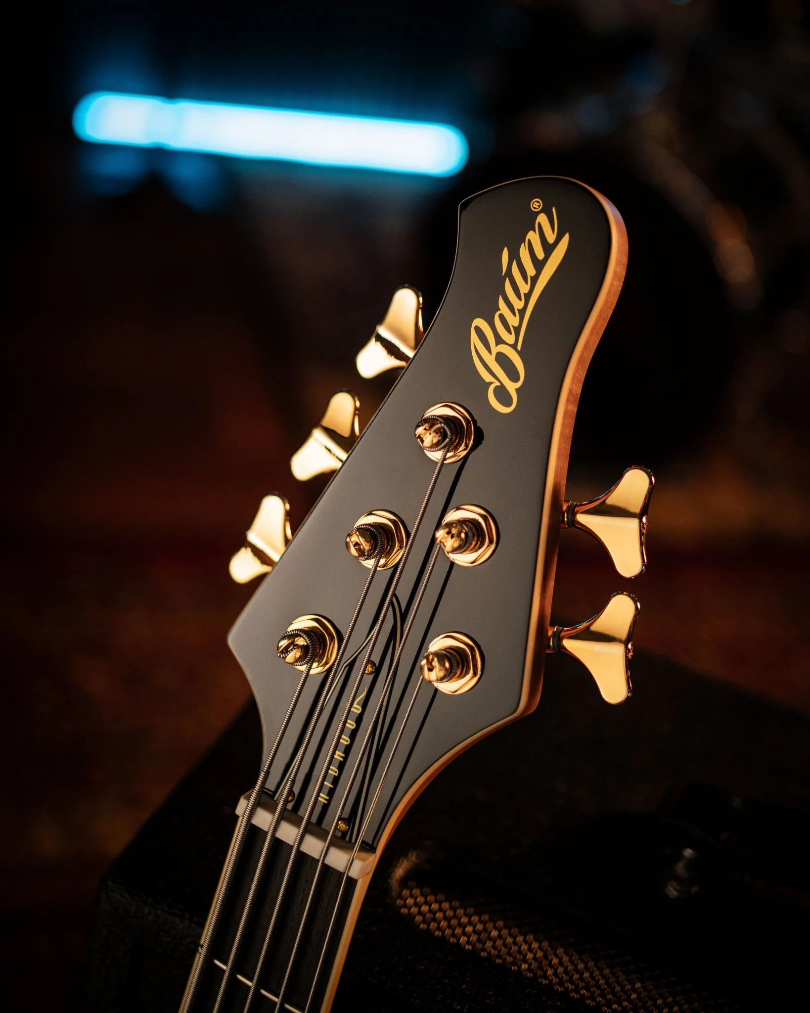 Nidhogg Bass 5-String - Pure Black - Image 5