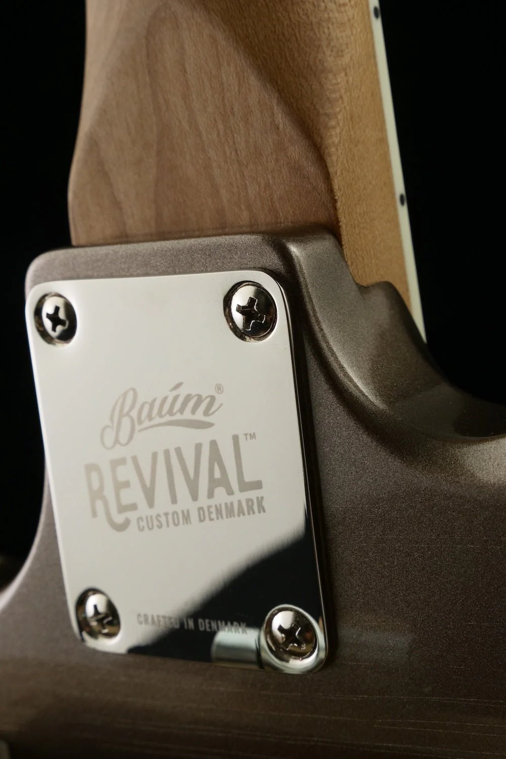 Revival #53 Carve - Mojave Grey metallic | Custom Shop - Image 8
