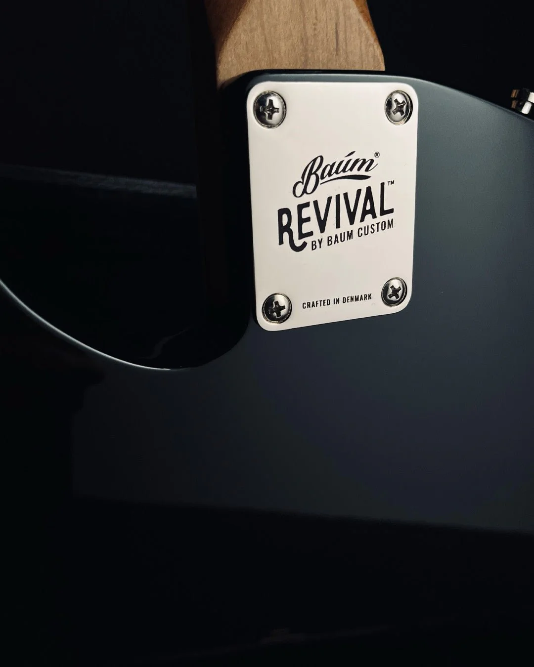 Revival Backwing - Emerald Green | Custom Shop - Image 5